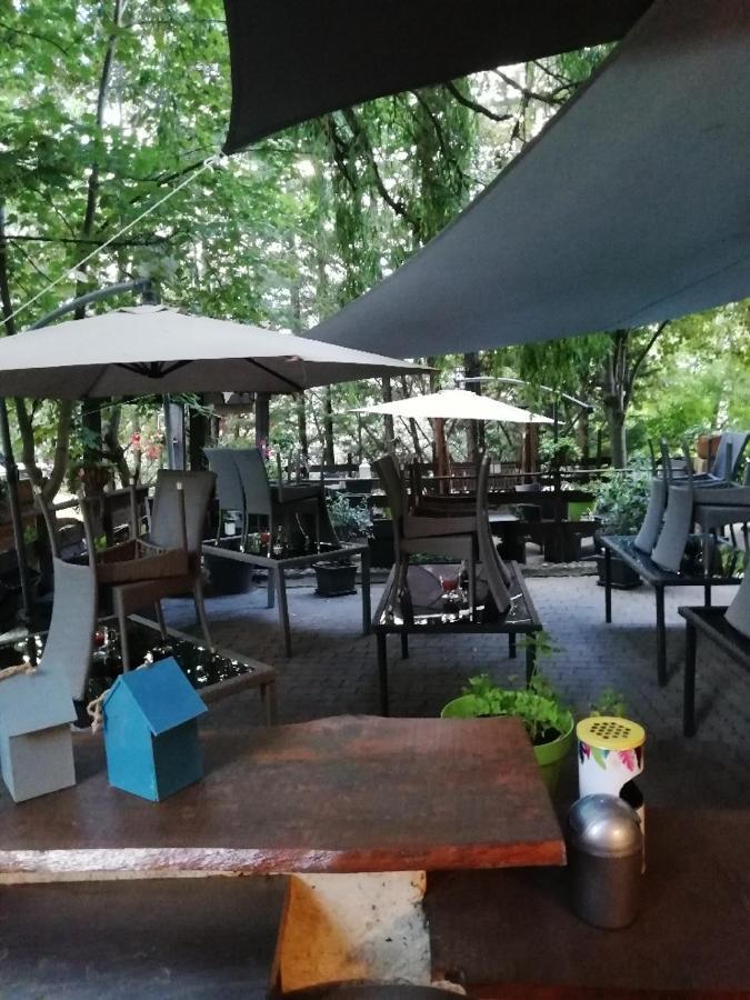 Hotel & Restaurant Le Chalvet Embrun Exterior photo